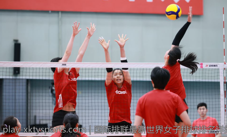 国际排联最新世界女子排球排名详细解读