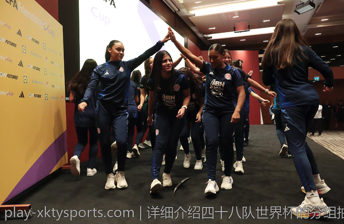 详细介绍四十八队世界杯的分组抽签规则与操作流程